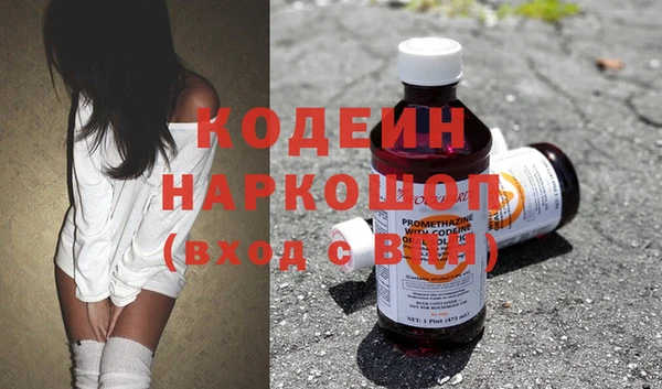 прущие грибы Кодинск